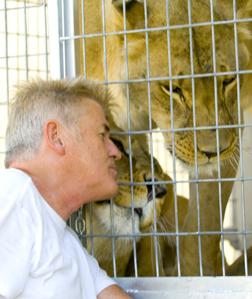Lions & heifers & the fair! Oh my!: Fair is mixed bag for students, animals